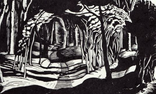 john nash wood interior